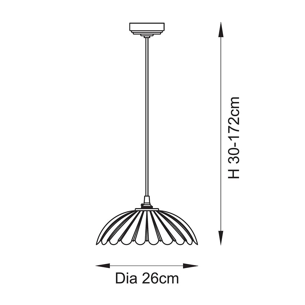 Eltham & Camellia Pendant Clear glass, brushed aged brass plate & black braided flex