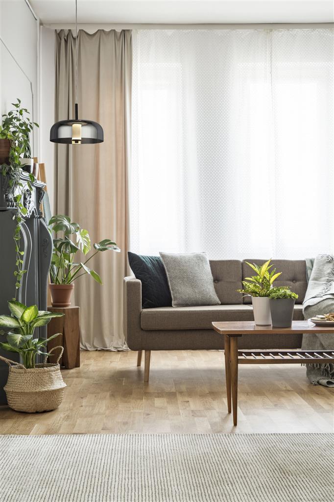 Branscombe 1Lt LED Pendant Ceiling Light Matt Black - Comet Lighting