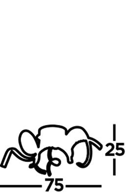 Hennock LED Twirl Arm Flush Ceiling Light Chrome/Crystal - Comet Lighting