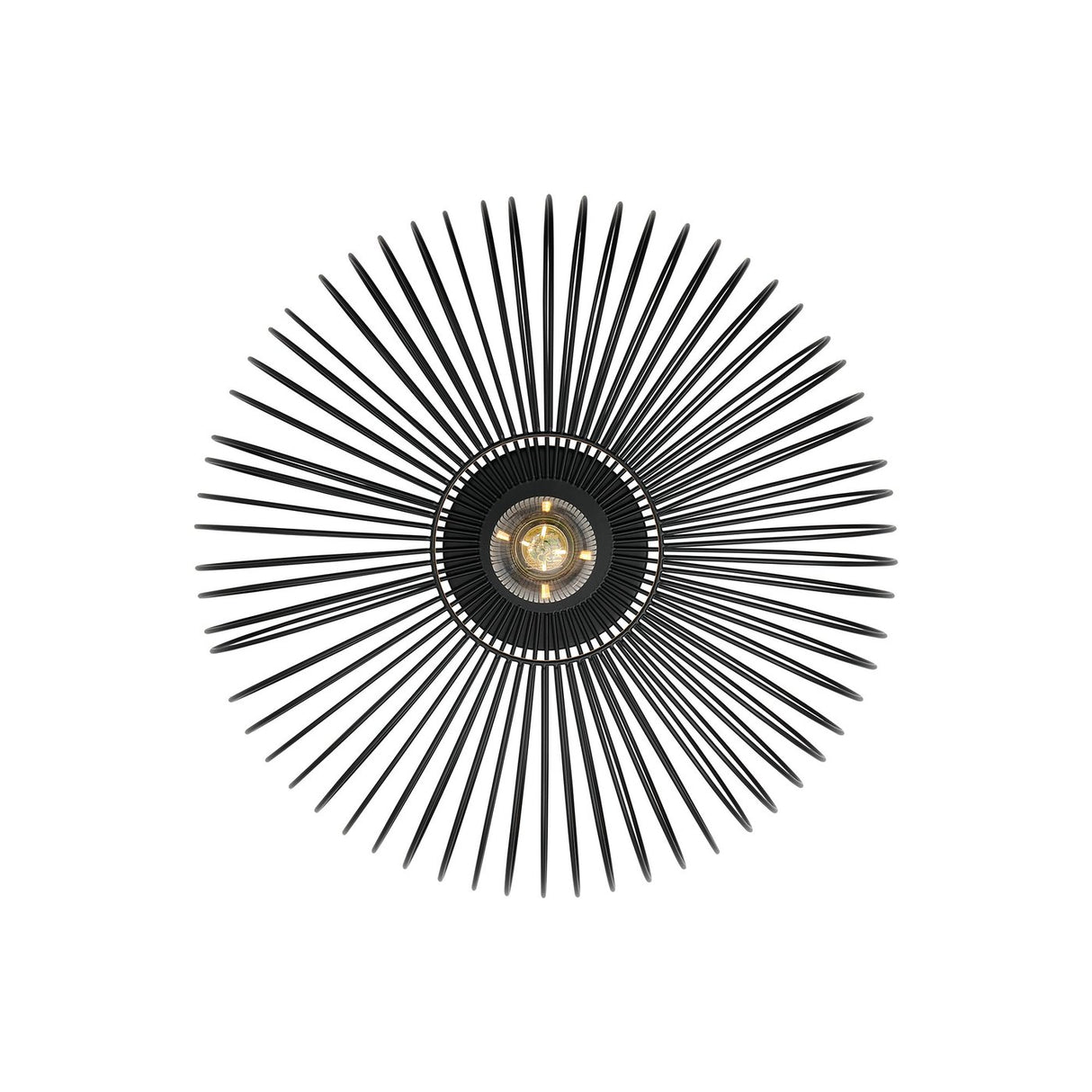 Beroni | Ceiling light | Black