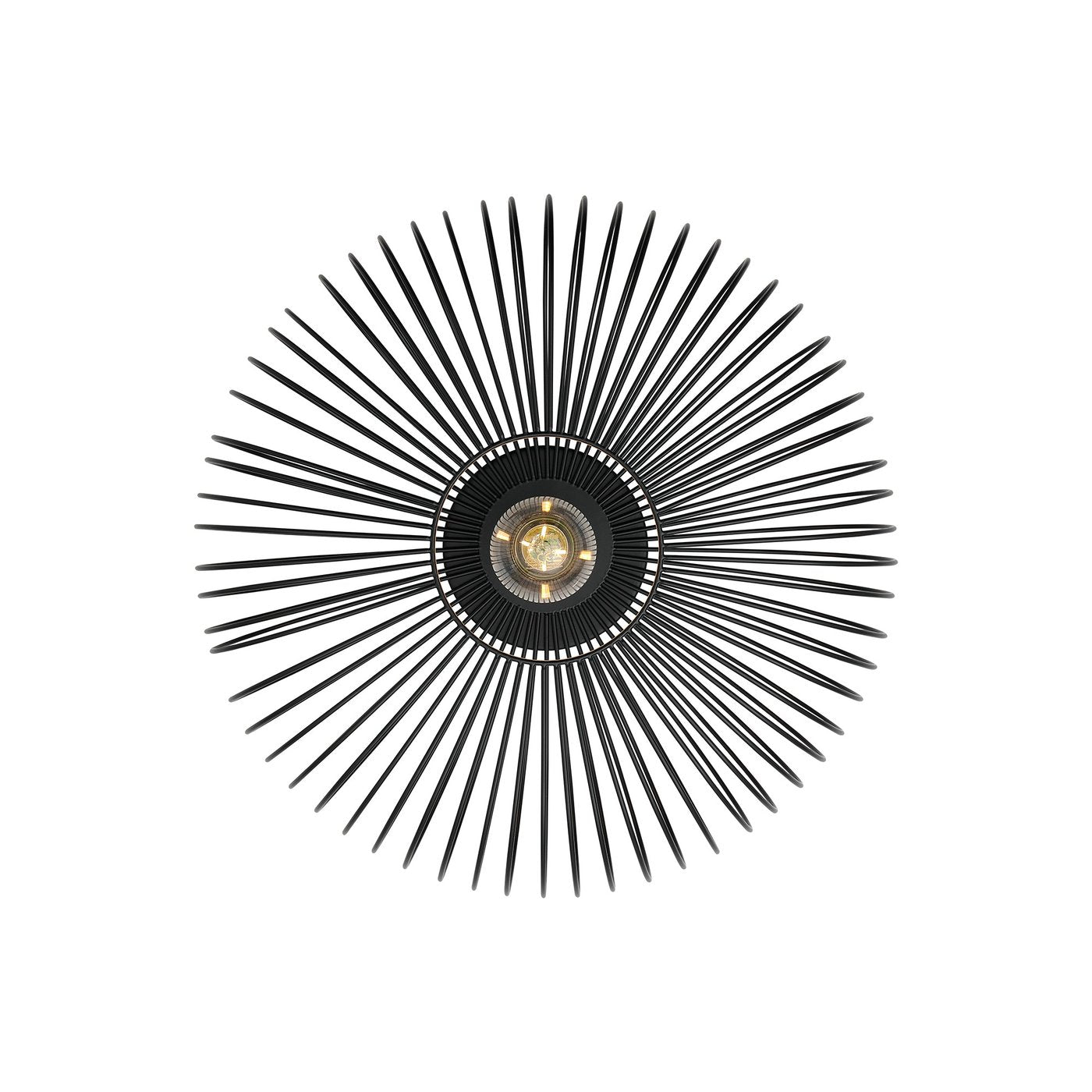 Beroni | Ceiling light | Black