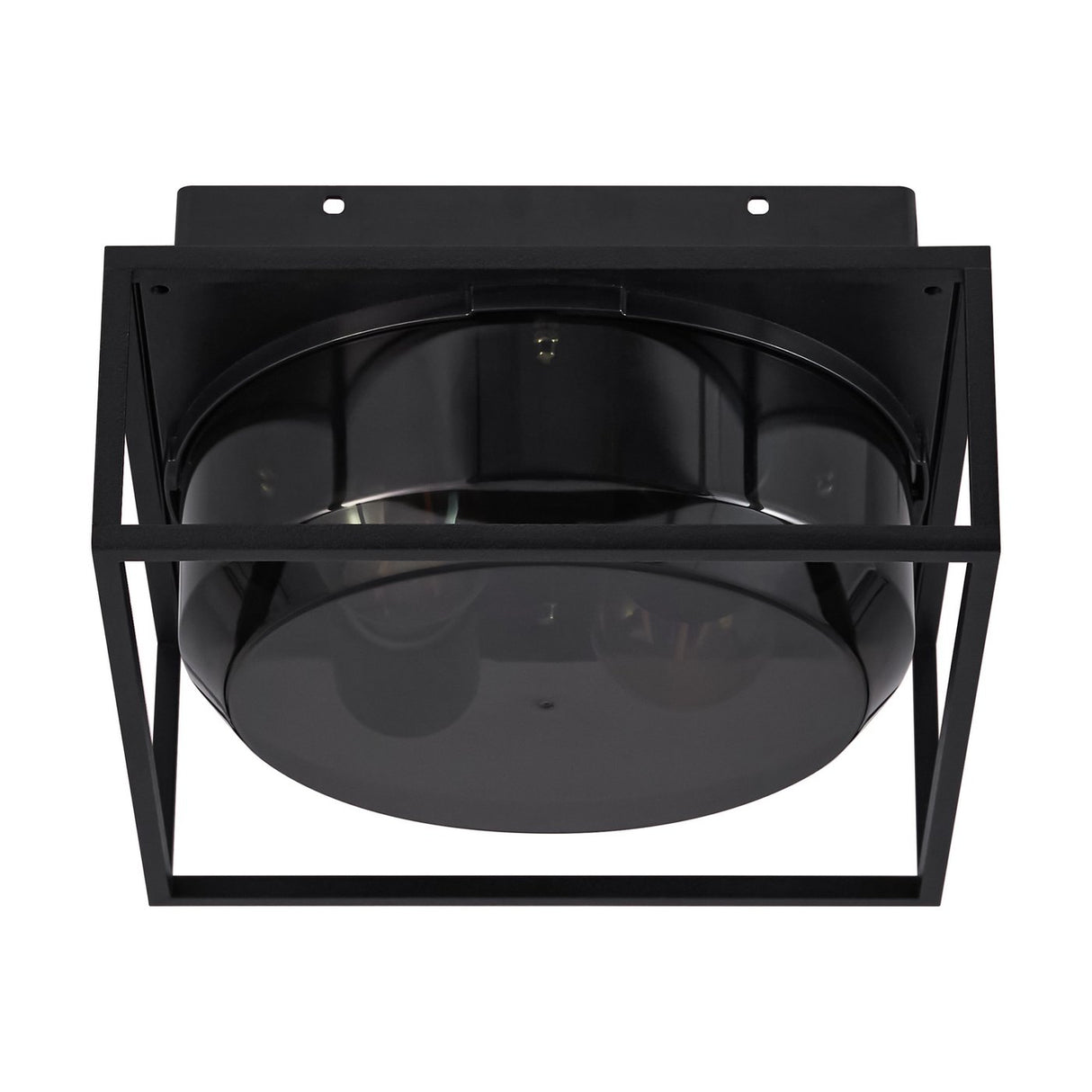 Griffin | Ceiling light | Smoked