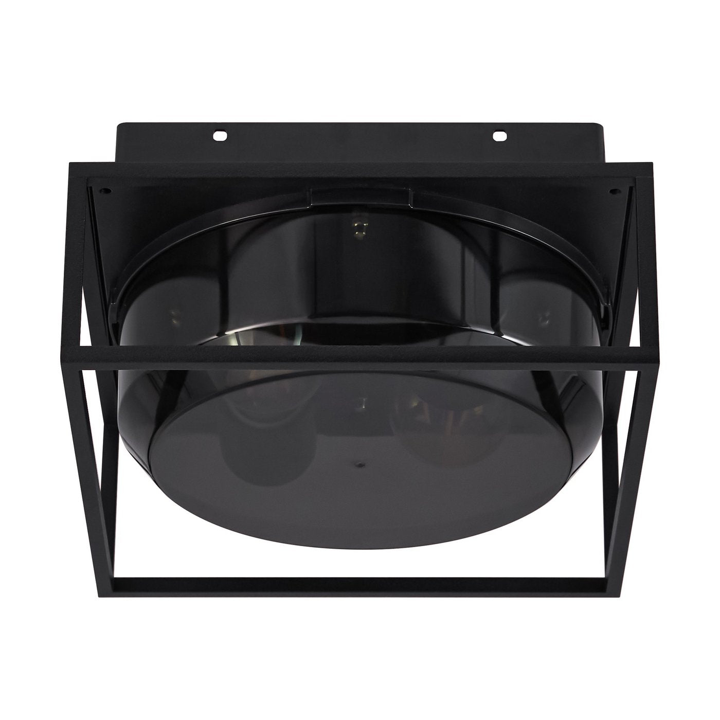 Griffin | Ceiling light | Smoked