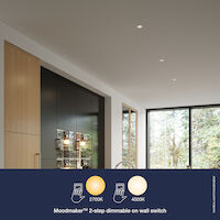 Tiaki | Downlight | White - Comet Lighting