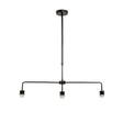 Huckleberry Black 3 Way Rise And Fall Over Table Light