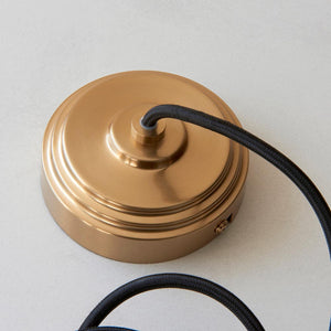 Eltham & Carnation Pendant Clear glass & brushed aged brass with black braided cable