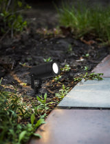 Edgecott Outdoor Garden Spike - Black - Comet Lighting