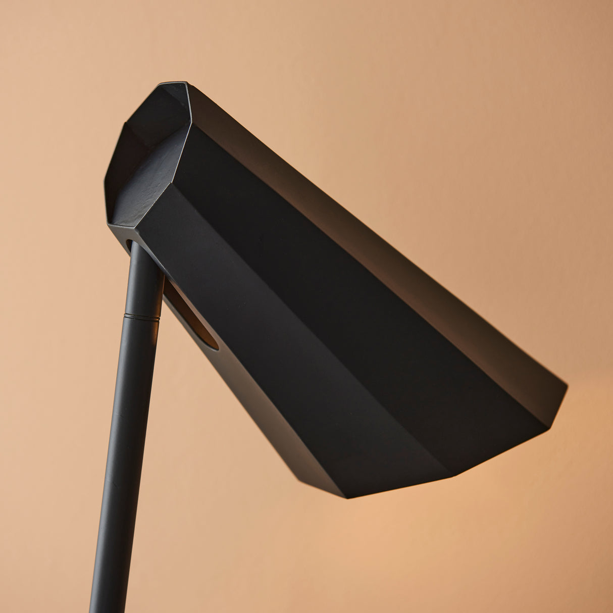 Shannon Task Lamp Matt Black