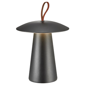Ara To-Go 2 | Battery light | Black - Comet Lighting