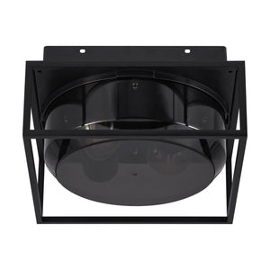 Griffin | Ceiling light | Smoked