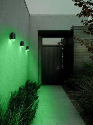 Heka | Wall light | Black - Comet Lighting