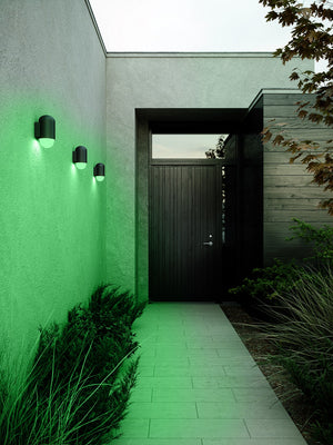 Heka | Wall light | Black - Comet Lighting