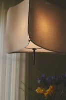 Tinto | Pendant | Black - Comet Lighting