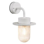 Januka | Wall light | Floreal - Comet Lighting