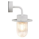 Januka | Wall light | Floreal - Comet Lighting