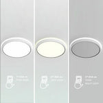 Noxy | Ceiling light | White - Comet Lighting