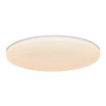 Vic 29 2100Lm 3000K | Ceiling light | White - Comet Lighting