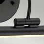 Alton 1 Light Large LED Picture Light - Black