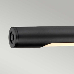 Alton 1 Light Large LED Picture Light - Black - Comet Lighting