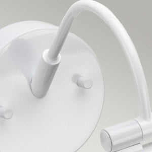 Alton 1 Light Large LED Picture Light - White - Comet Lighting