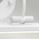 Alton 1 Light Small LED Picture Light - White