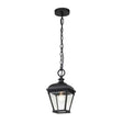 Bayview 1 Light Medium Chain Lantern - Comet Lighting