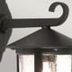 Hereford 1 Light Grande Wall Down Lantern