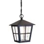 Canterbury 1 Light Grande Chain Lantern