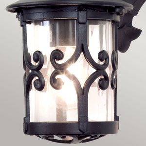 Hereford Wall Down Lantern - Comet Lighting