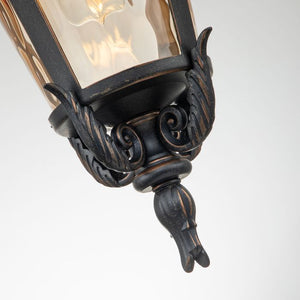 Baltimore 1 Light Large Chain Lantern - Comet Lighting