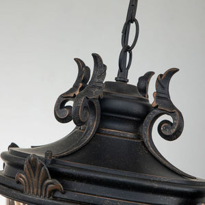 Baltimore 1 Light Large Chain Lantern - Comet Lighting