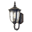 Cleveland 1 Light Small Wall Lantern - Comet Lighting