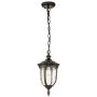 Cleveland 1 Light Small Chain Lantern