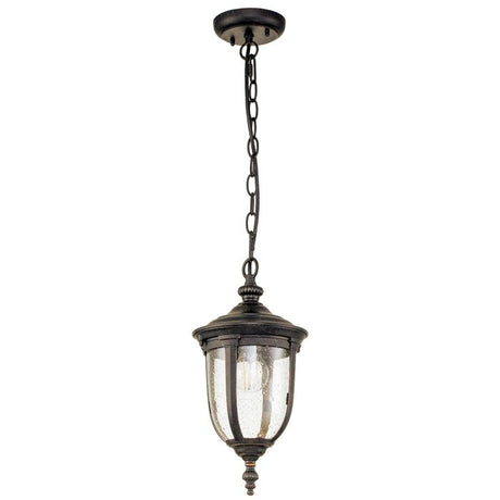 Cleveland 1 Light Small Chain Lantern - Comet Lighting