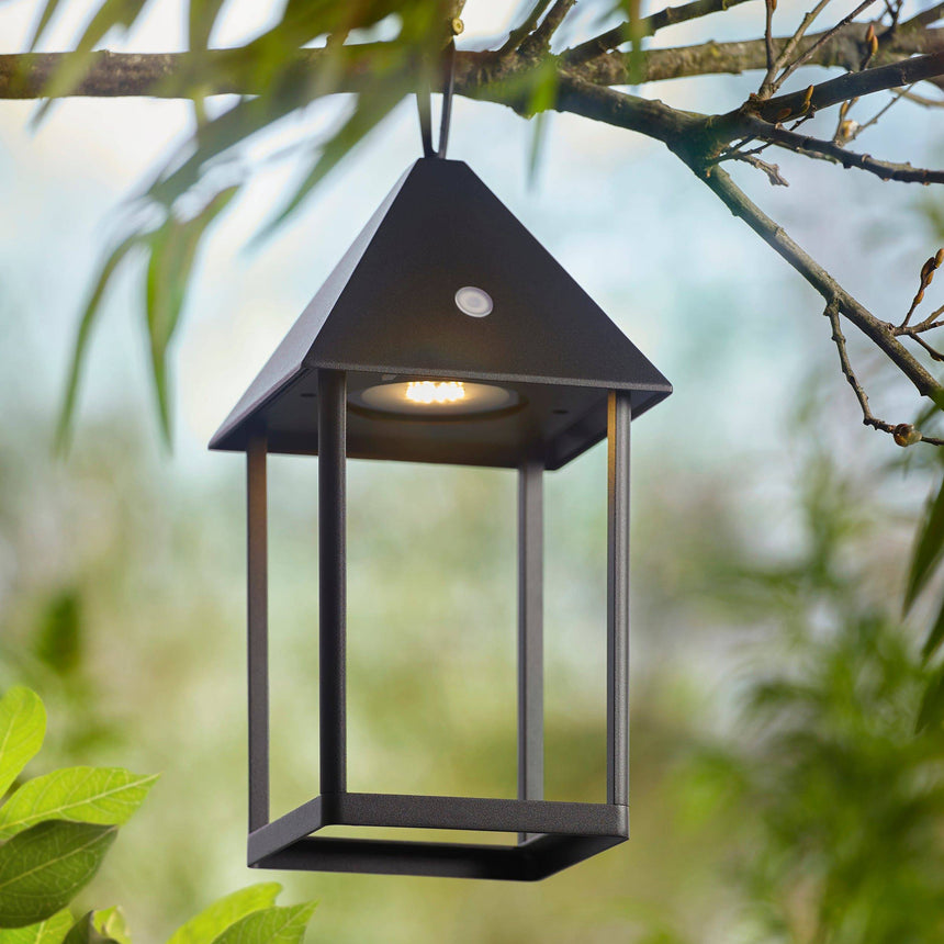 Hoot Medium Touch Lantern Matt Black - Comet Lighting