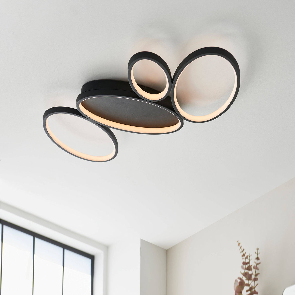 Ovals 4Lt LED Flush Ceiling Light Black - Comet Lighting