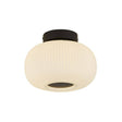 Ayles 1Lt Flush Ceiling Light Black - Comet Lighting