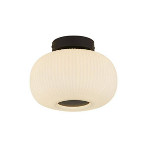 Ayles 1Lt Flush Ceiling Light Black - Comet Lighting