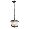 Winsford Outdoor Pendant - Black - Comet Lighting