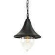 Firenze 1 Light Chain Lantern - Black - Comet Lighting