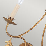 Sweet Olive 2 Light Wall Light - Comet Lighting