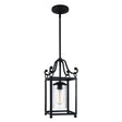 Declaration 1 Light Mini-Pendant - Comet Lighting