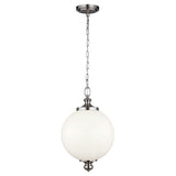 Parkman 1 Light Large Pendant - Brushed Steel - Comet Lighting