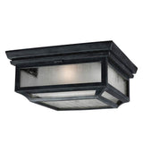 Shepherd 2 Light Flush Mount