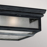 Shepherd 2 Light Flush Mount - Comet Lighting