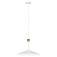 Darwin 1 Light Pendant - Matte White - Comet Lighting