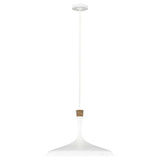 Darwin 1 Light Pendant - Matte White - Comet Lighting