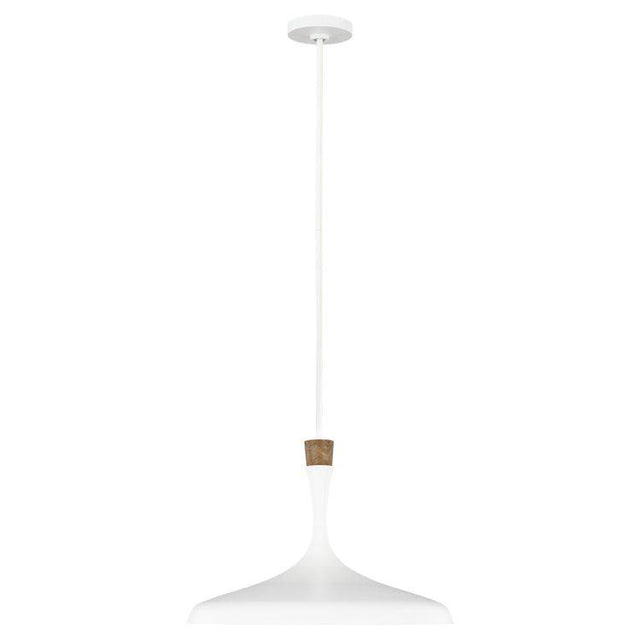 Darwin 1 Light Pendant - Matte White - Comet Lighting