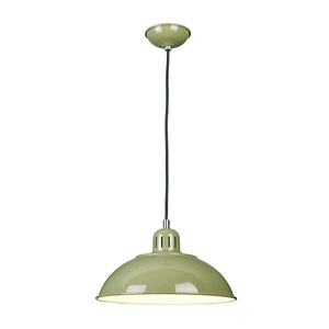 Franklin 1 Light Pendant - Green - Comet Lighting