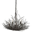 Organique 5-Light Chandelier Olde Bronze - Comet Lighting